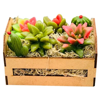 Caixote de Suculentas, Sabonete Perfumado