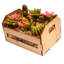 Caixote de Suculentas, Sabonete Perfumado