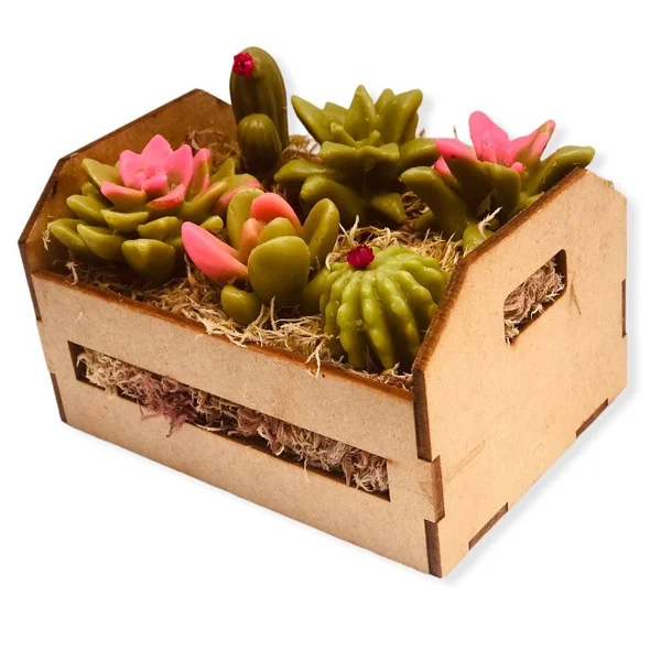 Caixote de Suculentas, Sabonete Perfumado