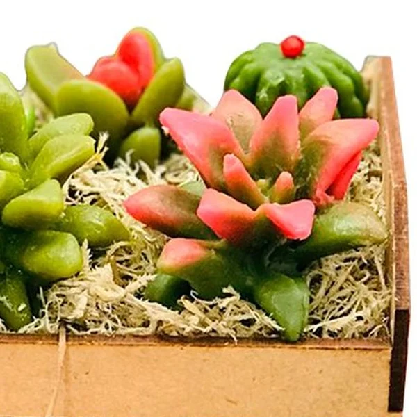 Caixote de Suculentas, Sabonete Perfumado